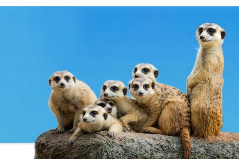 New Website for Job Listings - Webdesign Portfolio