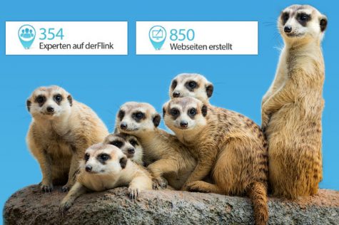 New Website for Job Listings - Webdesign Portfolio