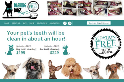 website-for-dog-teeth-cleaning-folio02