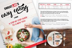 petrarichli – ebook design in nutrition – mockup ebook design in nutrition