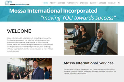 Management Consulting Company Web Design Portfolio