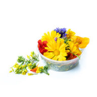 Vancouver Product Photography