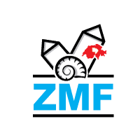 Logo Design Packages