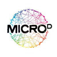 Logo Design Packages