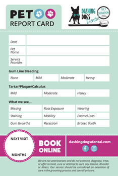 Report Card Design
