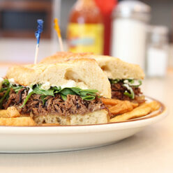 Pulled pork sandwich